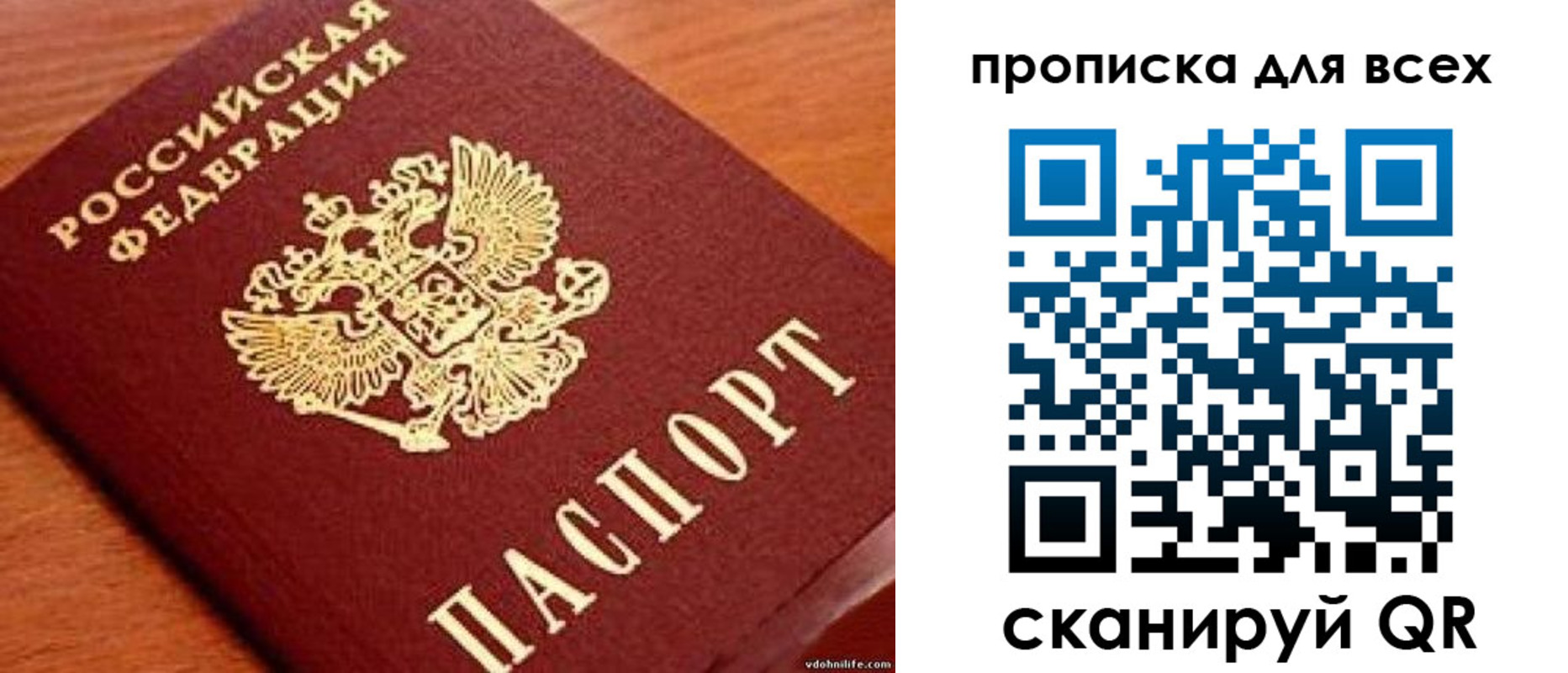 где прописаться в Козельске